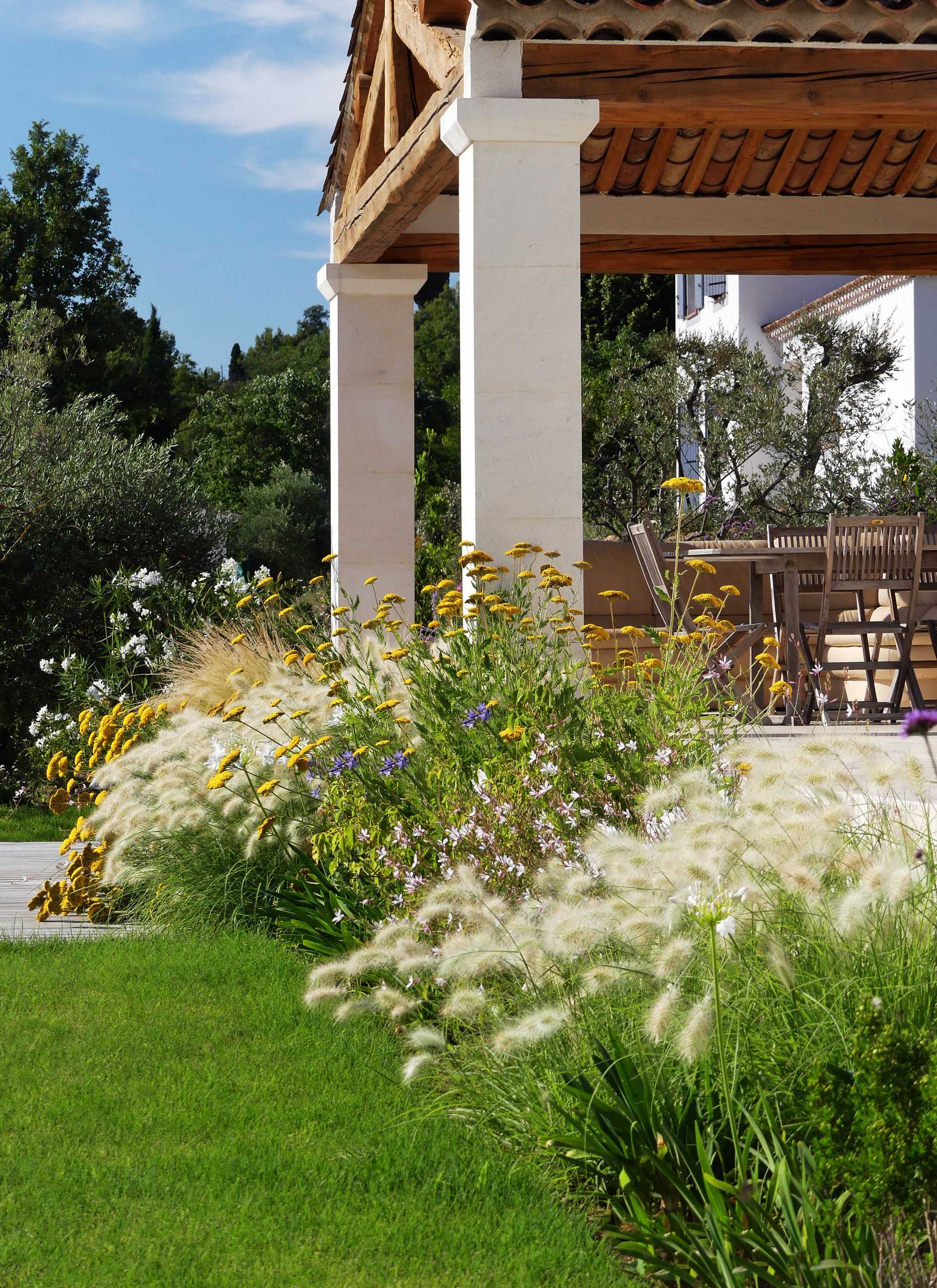 Provençal garden designed by a landscape architect in Vaucluse