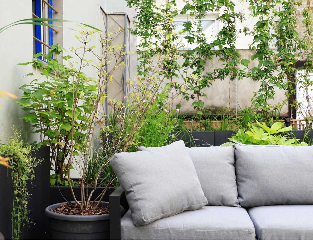 Sofa gris dans un salon d'extérieur